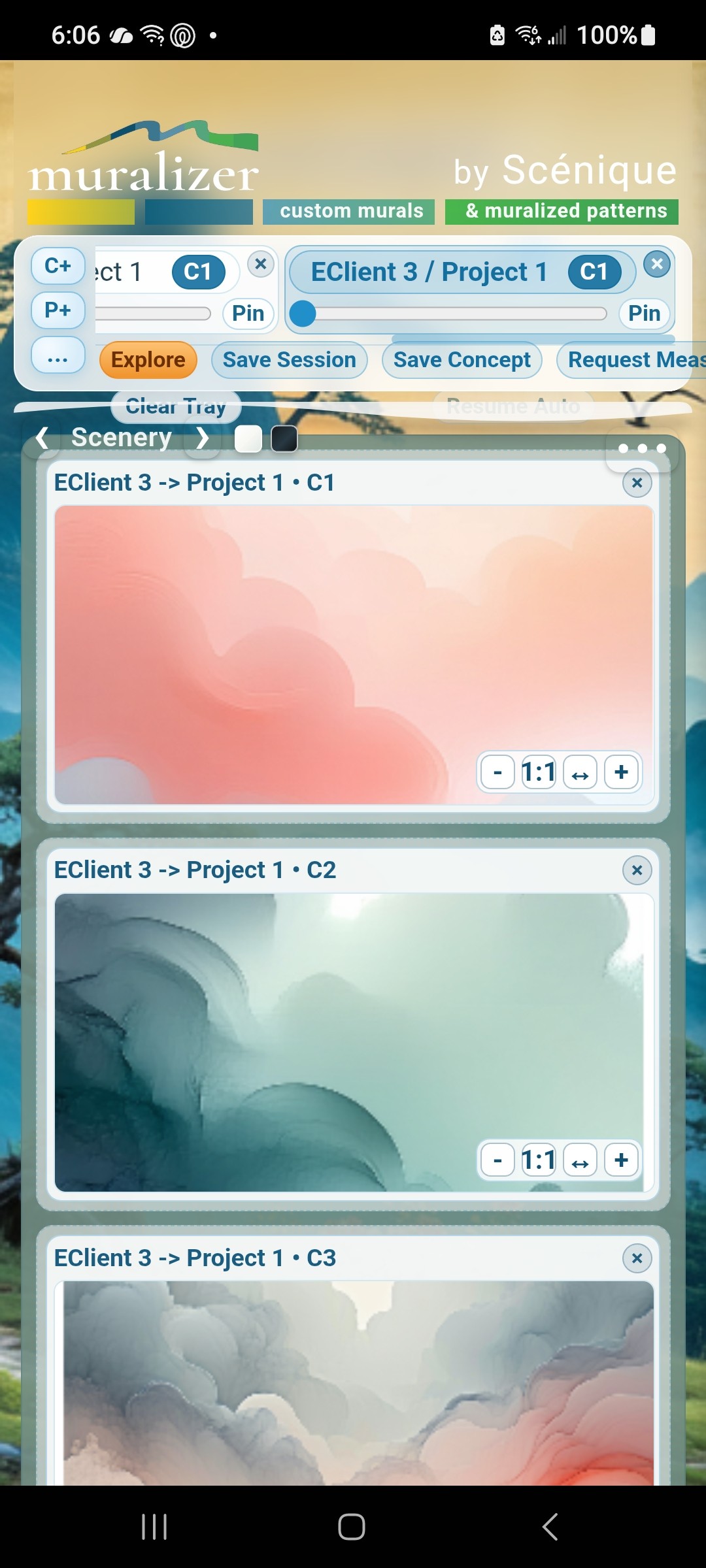 Muralizer on a phone — the same client, project, and concepts in the field